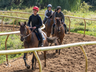 EL120925-44 - Emma Lavelle Stable Visit